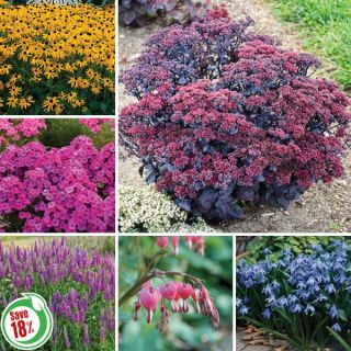 Garden Attractors Collection Thumbnail